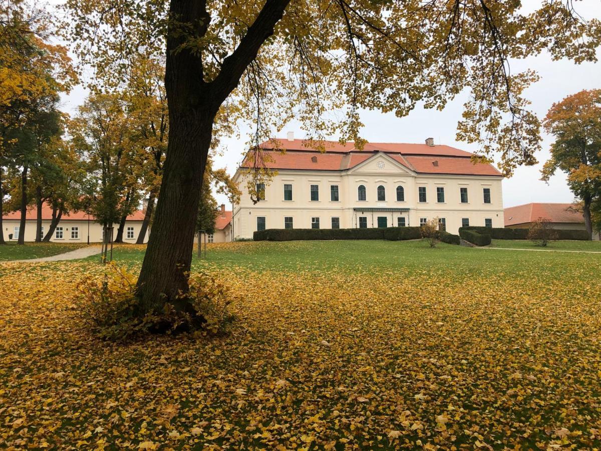 Отель Zamek Dukovany Экстерьер фото